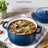 6 Quart Pot with Lid and Dual Handles for Stews/Roasting